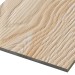 Фиброцементные панели FCSPRO Decor Wood Лиственница купить в Волгодонске